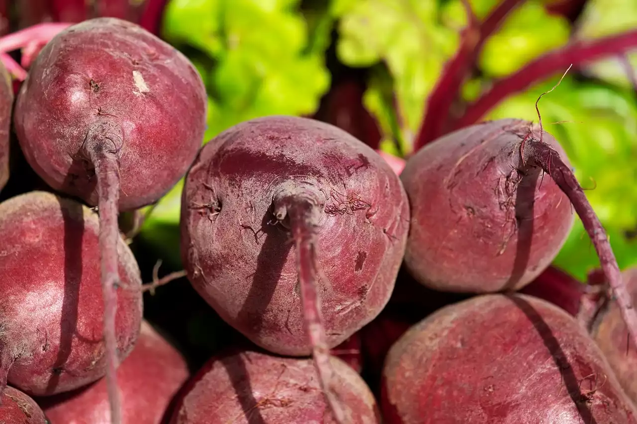 Veganismo y rendimiento atlético: ¿Puedes desarrollar músculo con una dieta basada en plantas?