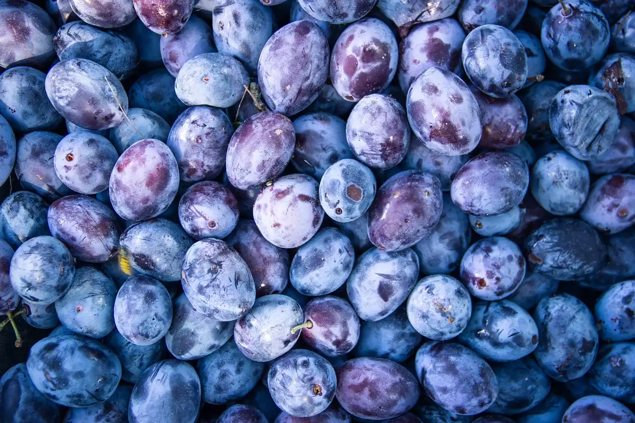 Los alimentos sorprendentes que no son veganos (y qué comer en su lugar)